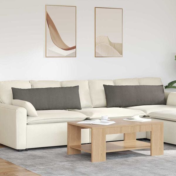 vidaXL Travesseiros de Sofá 2 pcs Cinzento-claro 120 x 40 cm