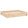 vidaXL Cama para c&atilde;es 61,5x49x9 cm madeira de pinho maci&ccedil;a