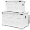 vidaXL Conjunto de arcas de arruma&ccedil;&atilde;o 2 pcs branco