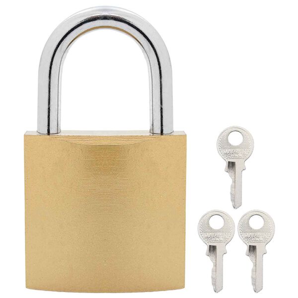 vidaXL U Lock com Chaves 100 pcs Lat&atilde;o Ferro