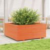 vidaXL Vaso/floreira jardim 110x110x49,5 cm pinho maci&ccedil;o castanho mel