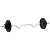 vidaXL Barra com discos 60 kg ferro fundido/a&ccedil;o cromado