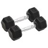 vidaXL Halteres 2 pcs 5 kg total ferro fundido