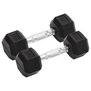 vidaXL Halteres 2 pcs 5 kg total ferro fundido