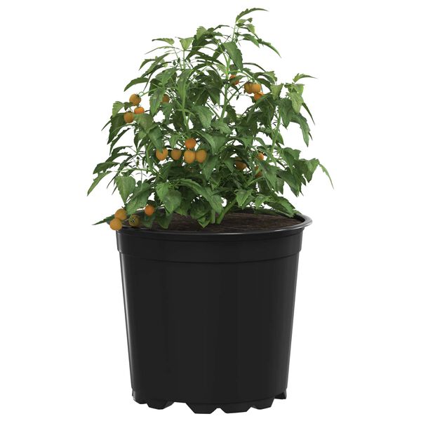 A apresentar a imagem do produto 3 de 11