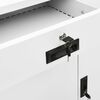 Imagem em miniatura do produto 9 de 12