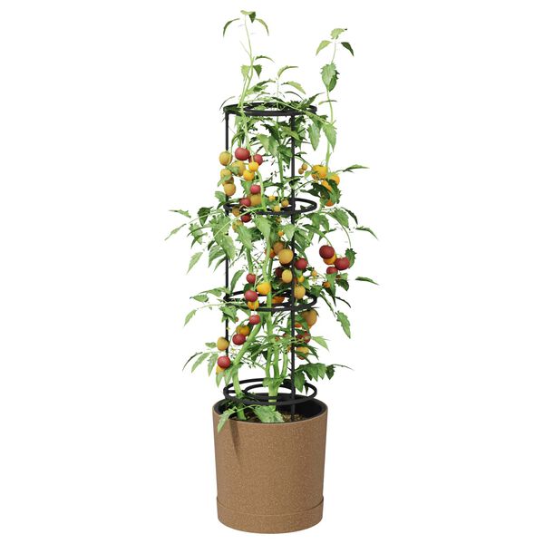 A apresentar a imagem do produto 3 de 6