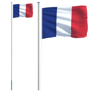 vidaXL Bandeira da Fran&ccedil;a e mastro 6,08 m alum&iacute;nio