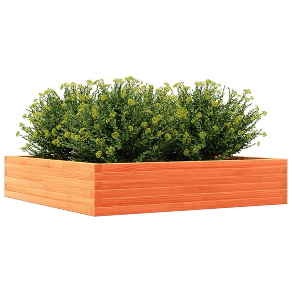 vidaXL Vaso/floreira de jardim 110x110x23 cm pinho maci&ccedil;o castanho-mel