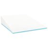 vidaXL Travesseiro em Wedge Liso Branco 69 x 64 x 19 cm