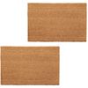 vidaXL Tapetes de porta em fibra de coco 2 pcs 24 mm 40x60 cm natural