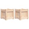 Natural_pine