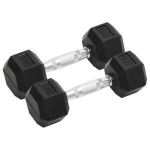 vidaXL Halteres 2 pcs 5 kg total ferro fundido