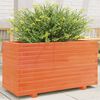 vidaXL Vaso/floreira de jardim 90x40x49,5 cm pinho maci&ccedil;o castanho mel
