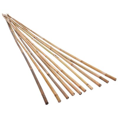 vidaXL Estacas de bambu para jardim 50 pcs 150 cm