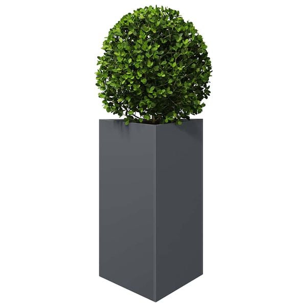 A apresentar a imagem do produto 3 de 10