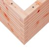 vidaXL Vaso/floreira de jardim 70x70x45,5 cm madeira de douglas maci&ccedil;a
