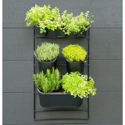 Nature Kit de parede para jardim vertical