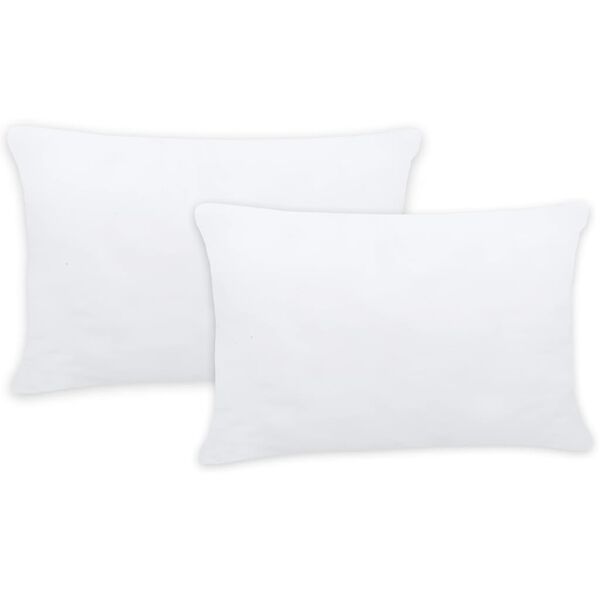 vidaXL Enchimentos para almofad&atilde;o 2 pcs 60x40 cm branco