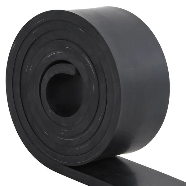 vidaXL Borda de borracha para limpa-neves 250x8x1 cm preto