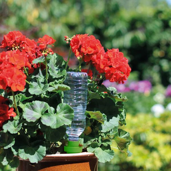 Hozelock Cones de rega m&eacute;dios 4 pcs Aquasolo