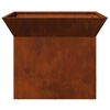 vidaXL Fire Pit Ferro Enferrujado 50 x 50 x 40 cm A&ccedil;o corten