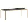 vidaXL Conjunto de Jantar para Jardim 11 pcs Bege vime PE