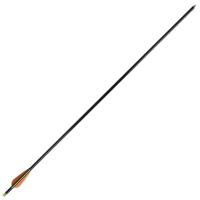 Flechas para arco composto padrão 12 pcs 30" 0,8 cm fibra de vidro
