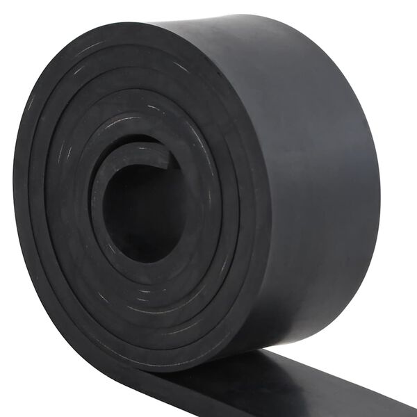 vidaXL Borda de borracha para limpa-neves 250x10x1 cm preto