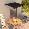 vidaXL Toldo retr&aacute;til manual 300x250 cm antracite