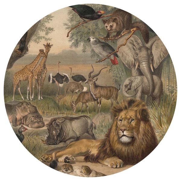 WallArt Papel de parede circular "Animals of Africa" 190 cm