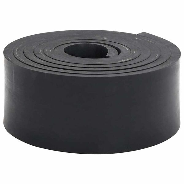 vidaXL Borda de borracha para limpa-neves 250x10x1 cm preto
