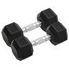 vidaXL Halteres 2 pcs 8 kg total ferro fundido