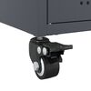 Imagem em miniatura do produto 11 de 13
