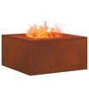 vidaXL Fire Pit Castanho 60 x 60 x 30 cm A&ccedil;o resistente &agrave;s intemp&eacute;ries