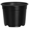 vidaXL Vaso de Flores 200 pcs Preto &Oslash; 15 x 12.5 cm Pl&aacute;stico