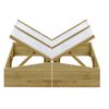 vidaXL Estufas 2 pcs 100x50x35 cm madeira de pinho impregnada