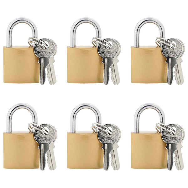 vidaXL U Lock com Chaves 6 pcs Lat&atilde;o Ferro