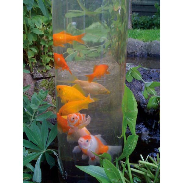 Ubbink Torre para peixes 66 cm acr&iacute;lico 1372161