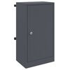 vidaXL caixa de correio com porta Antracite 30 x 20 x 55 cm A&ccedil;o
