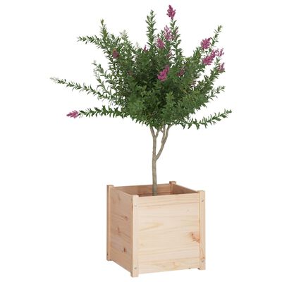 vidaXL Vaso/floreira de jardim 50x50x50 cm madeira de pinho maciça