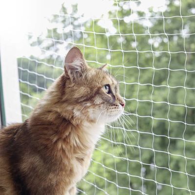 Kerbl Rede de proteção para gatos 4x3 m transparente
