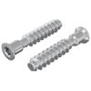 vidaXL Parafuso com Cabe&ccedil;a de Tampa 2 unid. Prateado M7 x 40 mm A&ccedil;o