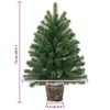 vidaXL &Aacute;rvore de Natal Artificial com 150 LEDs Verde 75 cm PE e PVC
