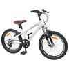 vidaXL Kids Mountain Bike 20 Polegadas 6-Speed para 5-8 anos Branco