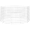 vidaXL Cercado para animais soltos com 12 pain&eacute;is, 54x100 cm, ferro galvanizado