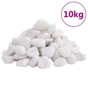 vidaXL Seixos polidos 10 kg 2-5 cm branco