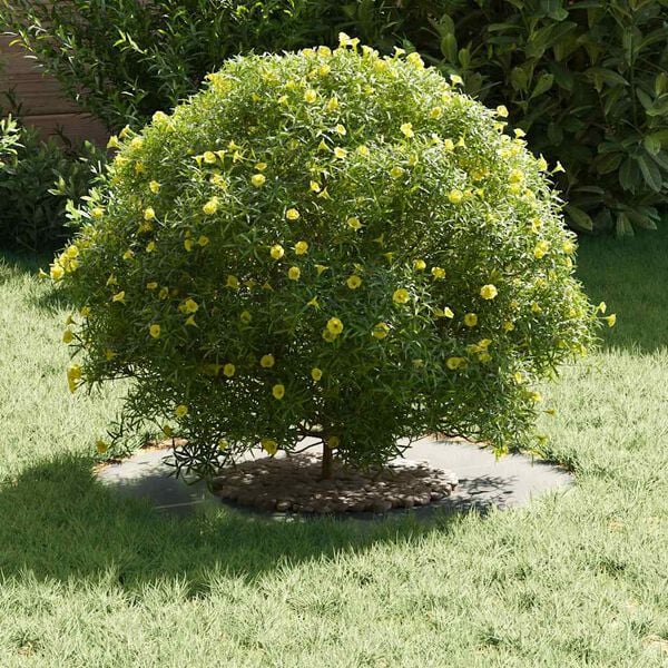 A apresentar a imagem do produto 3 de 10
