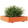 vidaXL Vaso/floreira jardim 110x110x26,5 cm pinho maci&ccedil;o castanho-mel