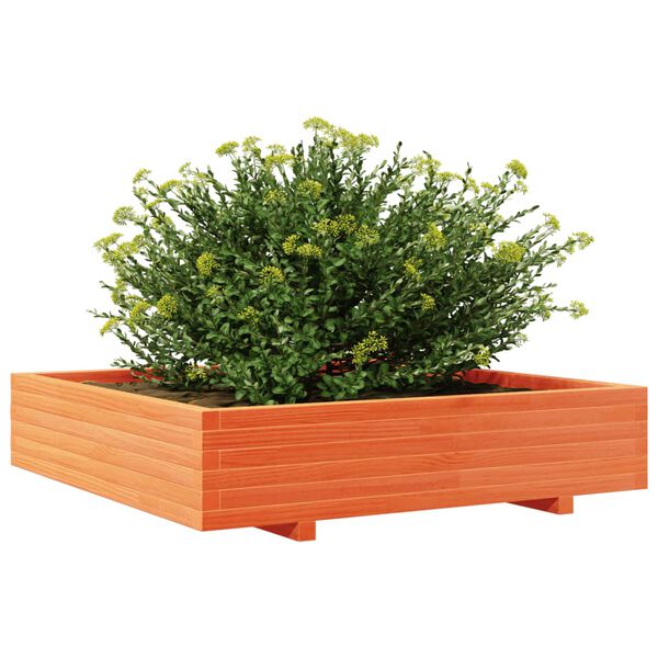 vidaXL Vaso/floreira jardim 110x110x26,5 cm pinho maci&ccedil;o castanho-mel